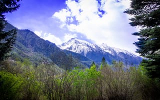 Картинка горы, Кавказ, Домбай, теберда