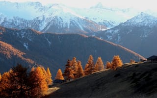 Картинка Осень, деревья, лес, горы, холм