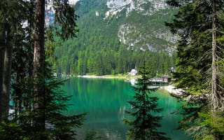 Картинка лес, горы, Lago Di Braies, озеро, Италия