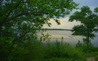 Картинка зелень, деревья, Днепр, берег, река