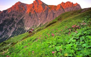 Картинка цветы, горы, облака, Австрия, Бранднерталь, закат, домик, небо