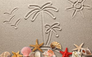 Обои seashells, песок, drawing, sand, texture, starfish, рисунок, ракушки