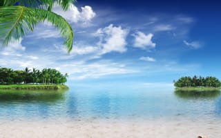 Картинка пальмы, тропики, море, summer, vacation, пляж, ocean, beach, песок, берег, sea, palms, sunshine, tropical, paradise