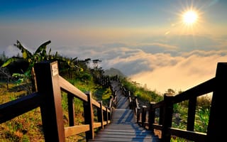 Картинка Пейзаж, природа, солнце, лестница, вид, туман