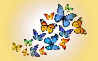 Картинка design by Marika, colorful, yellow, бабочки, butterflies