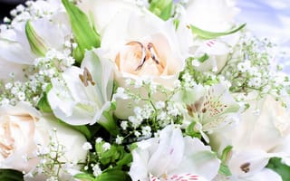 Обои цветы, букет, кольца, rings, bouquet, flowers