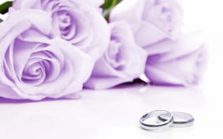 Картинка цветы, сиреневые розы, flowers, ткань, cloth, обручальные кольца, lilac roses, wedding rings