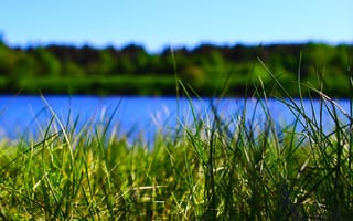 Картинка небо, трава, река, зеленый