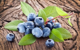Картинка blueberry, голубика, berries, черника, wood, ягоды, fresh