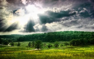 Картинка Поле, облака, деревья