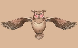 Картинка сова, птица, Мудрая, owl, крылатый