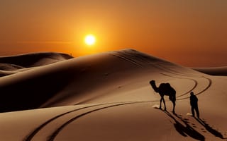 Картинка барханы, верблюд, люди, солнце, пустыня