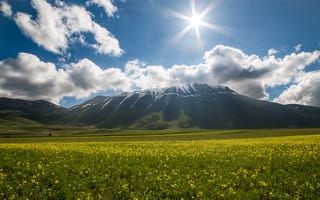 Картинка солнце, цветы, Vettore, Италия, Castelluccio, Italy, flowers, sunshine