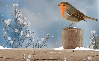 Картинка рисунок, снег, птица, столбик, природа, растение