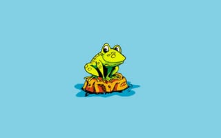 Картинка вода, лягушка, минимализм, frog, островок