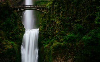 Картинка зелень, водопад, горы, мост, поток