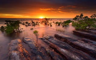 Картинка мангровые кусты, вода, солнце, океан, вечер, Австралия, небо, камни, закат, море