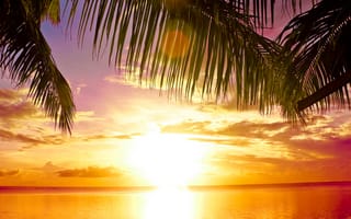 Картинка пальмы, тропики, paradise, солнце, sea, beach, tropical, пляж, закат, palms, sunset, море