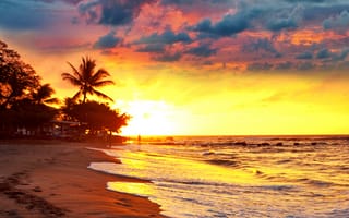 Обои пальмы, закат, tropical, пляж, paradise, тропики, берег, sunset, palms, море, beach, песок, sea