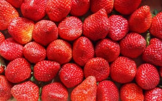 Обои ягоды, клубника, strawberry, fresh berries