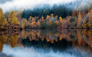 Картинка природа, осень, лес, озеро, отражения