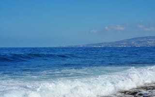 Картинка камни, волк, морская пена, Средиземное море
