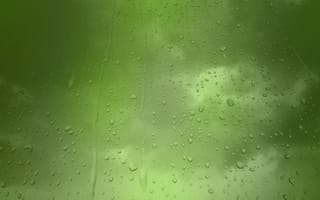 Картинка Зеленый фон, дождь, капельки