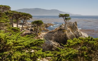 Картинка горы, побережье, coast, mountains, Калифорния, California, Monterey County, кипарисы