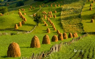 Картинка Букавына, холмы, Румыния, копна, стог, трава