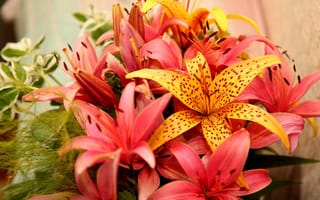 Картинка цветы, лилии, букет