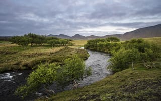 Картинка Южная Исландия, лето, деревья, Næfurholt, река, холмы
