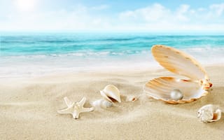 Обои морская звезда, облака, жемчуг, ракушки, песок, пляж, природа, море
