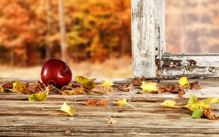 Картинка яблоко, лес, рама, осень, листья