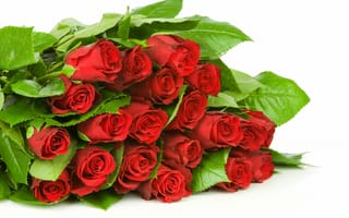 Обои листья, bouquet, red roses, букет, leaves, цветы, бутоны, красные розы, flowers, buds
