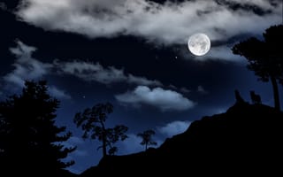 Картинка луна, звёзды, пейзаж, небо, ночь, волки
