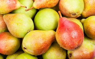 Обои pears, фрукты, груши, fruits