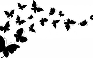 Картинка крылья, силуэты, бабочки, белый