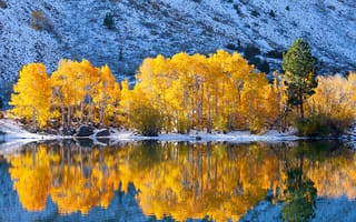 Картинка гора, деревья, снег, озеро, осень