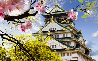 Картинка замок, japanese, castle, японский, сакура, цветение, Япония