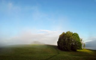 Обои лето, деревья, туман, поле