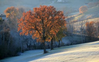 Картинка осень, холмы, поля, горы, деревья, дымка, снег