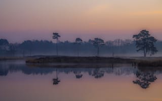 Картинка туман, утро, низинные болота, рассвет