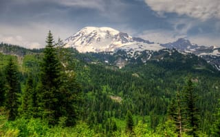 Картинка лес, горы, ледник, Вашингтон, Mt Rainier
