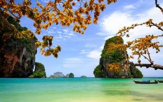 Картинка море, ветка, скалы, листья, небо, Вьетнам