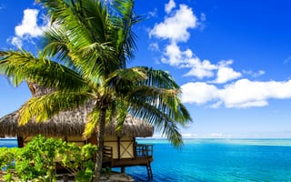 Картинка тропики, Французская Полинезия, море, пальмы, берег, бунгало, песок, Bora-Bora