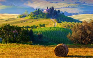 Обои hills, morning, утро, Italy, hay, field, Tuscany, деревья, стоги, nature, пейзаж, сено, Италия, фермы, природа, trees, восход, Тоскана, landscape, sunrise, farms, sun, солнце, haystacks, холмы, Toscana, поля