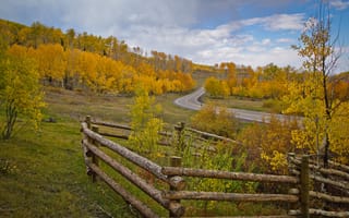 Картинка забор, осень, деревья, склон, небо, дорога