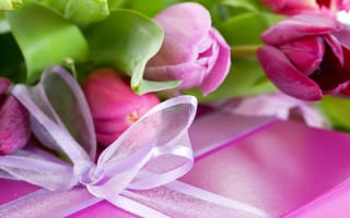 Картинка цветы, фиолетовый, бантик, лента, сюрприз, сиреневый, подарок, лепестки, цветок, тюльпан, поздравление, упаковка, розовый, коробка, праздник, листья