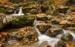 Обои камни, лес, вода, Осень, листья, природа