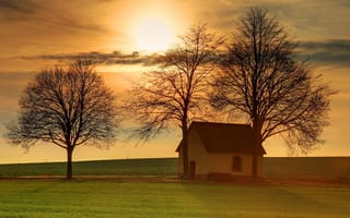 Картинка дом, поле, закат, деревья